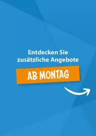 V Markt Prospekt woche 33 Seite 18