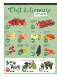 V Markt Prospekt woche 33 Seite 4