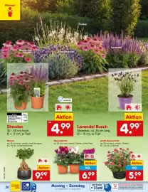 Netto Marken-Discount Prospekt Seite 38