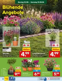 Netto Marken-Discount Prospekt Seite 38