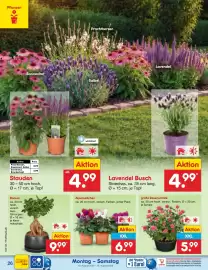 Netto Marken-Discount Prospekt Seite 38