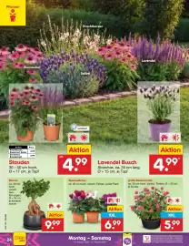 Netto Marken-Discount Prospekt Seite 40