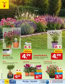 Netto Marken-Discount Prospekt Seite 38