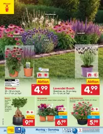 Netto Marken-Discount Prospekt Seite 38