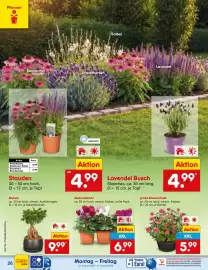 Netto Marken-Discount Prospekt Seite 38