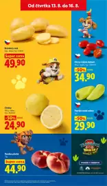 Lidl leták Strana 13