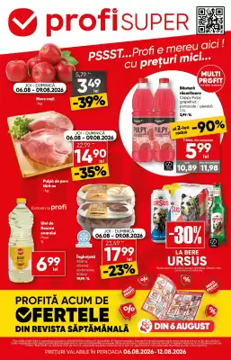 Catalog PROFI