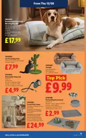 Lidl leaflet week 33 Page 17