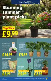 Lidl leaflet week 33 Page 20