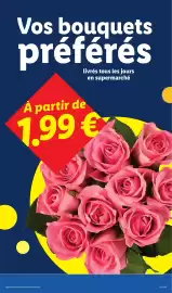 Catalogue Lidl semaine 33 page 27