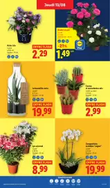 Catalogue Lidl semaine 33 page 29