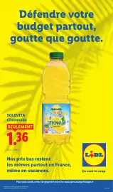 Catalogue Lidl semaine 33 page 59