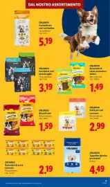 Volantino Lidl settimana 32 Pagina 3: ORLANDO Gourmet Snack per cani con carne €2,99