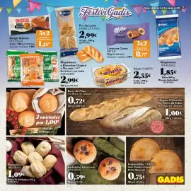 Folleto Gadis Página 17
