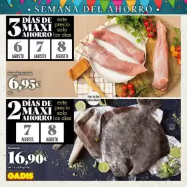 Folleto Gadis Página 2