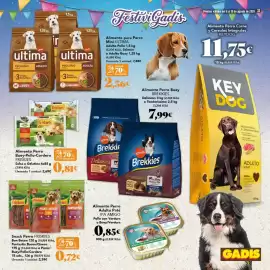 Folleto Gadis Página 33
