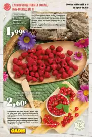 Folleto Gadis Página 10