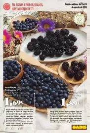 Folleto Gadis Página 11