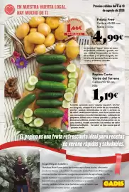 Folleto Gadis Página 5
