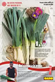 Folleto Gadis Página 7