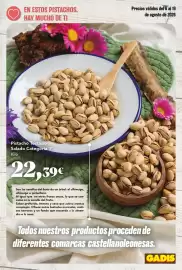 Folleto Gadis Página 9