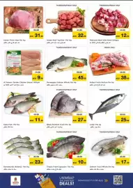 Nesto catalogue Page 27