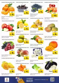 Nesto catalogue Page 3
