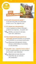Catalogue Carrefour Market page 13