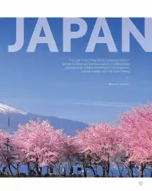 Lexus catalogue Page 59