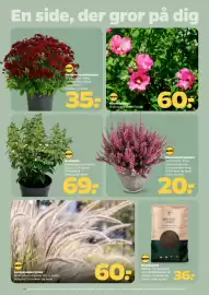 Netto tilbudsavis uge 32 Side 8