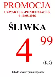 Wizan gazetka tydzień 32 Strona 6