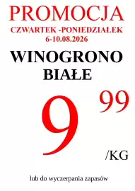 Wizan gazetka tydzień 32 Strona 8