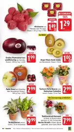 EDEKA Berger Prospekt woche 32 Seite 9