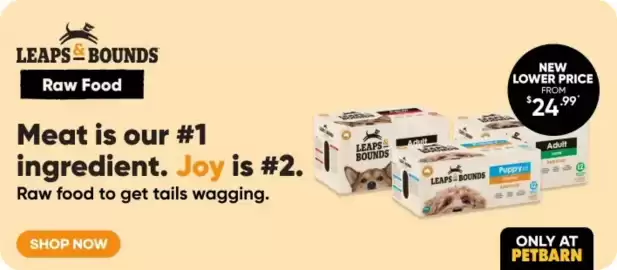Petbarn catalogue Page 2