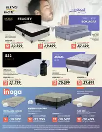 Catálogo Nexon Página 13