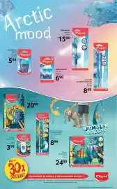 Catalog Selgros Pagină 26