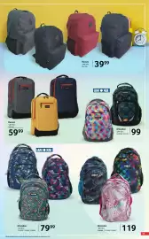 Catalog Selgros Pagină 33