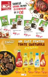 Catalog Selgros Pagină 16