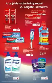 Catalog Selgros Pagină 31