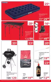 Catalog Selgros Pagină 11