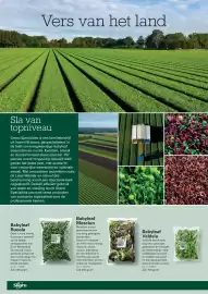 Sligro folder | Wijn Pagina 28