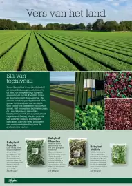 Sligro folder | Non-Food Pagina 28