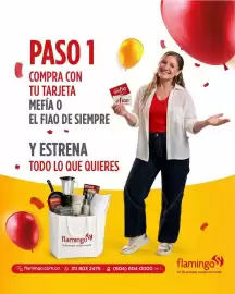 Catálogo Flamingo Página 2