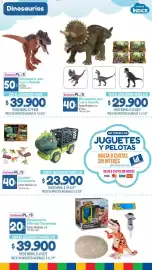 Catálogo La Anonima Página 17