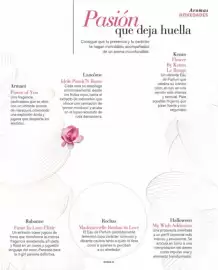 Folleto Perfumerías Aromas Página 13