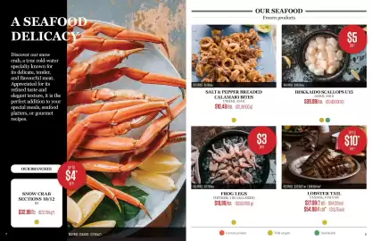 Odessa Poissonnier flyer Page 4