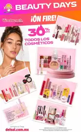 Folleto DelSol Página 2