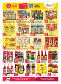 Shaklan leaflet Page 3