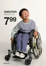 Zeeman folder Pagina 6