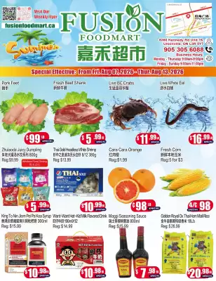 Fusion (valid until 13-08)